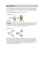 Life Cycle Patterns