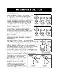 CELLS, OSMOSIS & MEMBRANE PERMEABILITY(solute