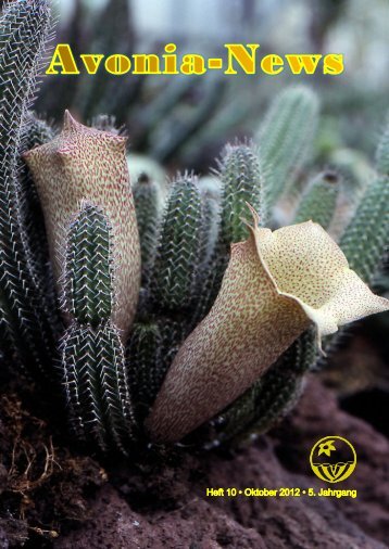 Stapelia gigantea - FGaS