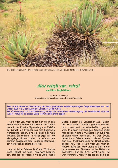 Aloe reitzii var. reitzii - FGaS