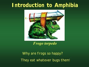 Introduction to Amphibia