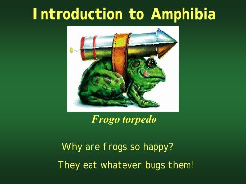 Introduction to Amphibia