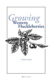 Growing Western Huckleberries - University of Idaho