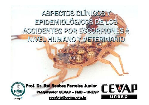 Prof. Dr. Rui Seabra Ferreira Junior Prof. Dr. Rui Seabra Ferreira ...
