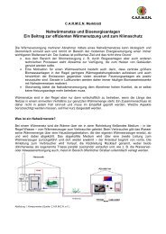 Merkblatt Nahwärmenetze - CARMEN