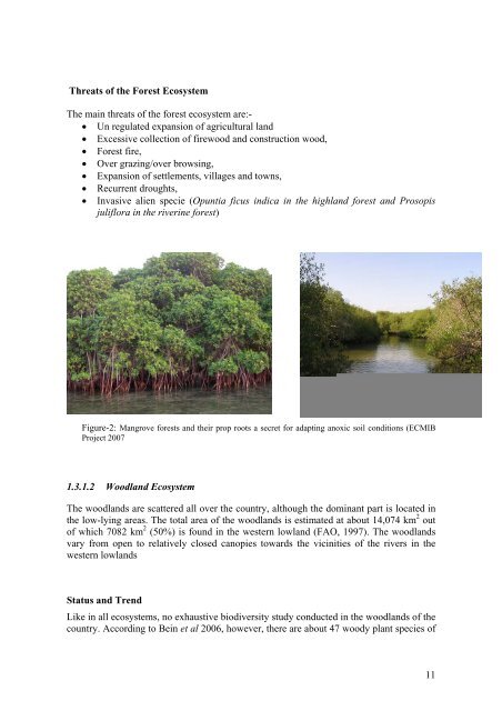 English version - Convention on Biological Diversity