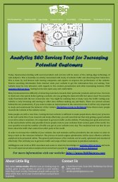 Analytics SEO Services Tool for Increasing Potential Customers