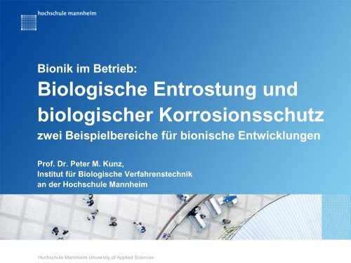 Biologische Entrostung und biologischer Korrosionsschutz