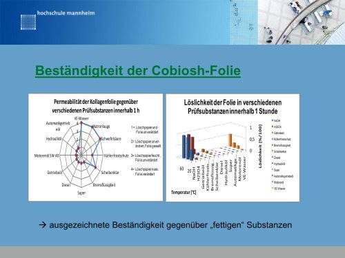 Biologische Entrostung und biologischer Korrosionsschutz