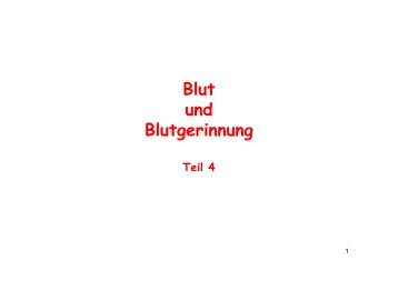 Blut und Blutgerinnung