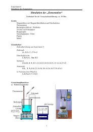 Simulation der „Zementation“ - Chemie und ihre Didaktik, Universität ...