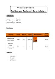 Versuchsprotokoll: Zucker + Schwefelsäure - ChidS