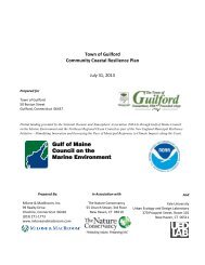 Community Coastal Resilience Plan - Town of Guilford