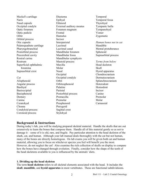 Biol 111 – Comparative & Human Anatomy Lab 2: Cranial Osteology