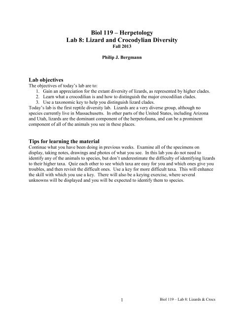Biol 119 – Herpetology Lab 8: Lizard and ... - Clark University