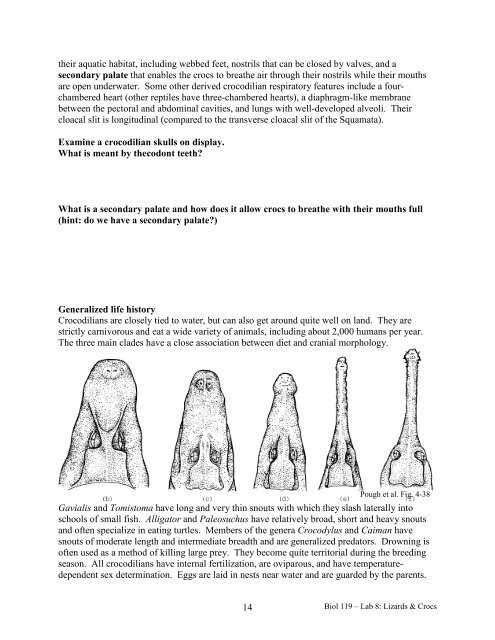 Biol 119 – Herpetology Lab 8: Lizard and ... - Clark University