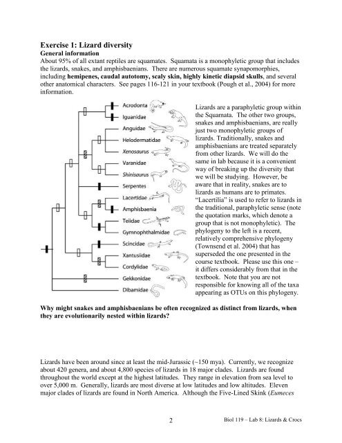 Biol 119 – Herpetology Lab 8: Lizard and ... - Clark University