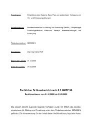 Fachlicher Schlussbericht nach 8.2 NKBF 98 - Cleaner Production ...