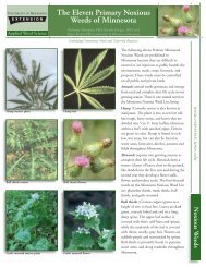 The Eleven Primary Noxious Weeds of Minnesota - Stearns County ...