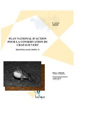 plan national d'action pour la conservation du crapaud vert