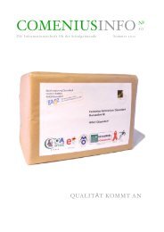 COMENIUSINFO - Comenius-Gymnasium