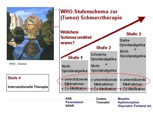 Kressig Reto Schmerzmanagement bei Demenz