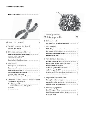 Klassische Genetik 6 Grundlagen der Molekular genetik 30