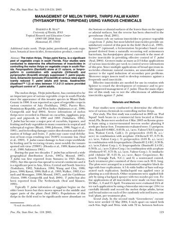 management of melon thrips, thrips palmi karny - Citrus Research ...