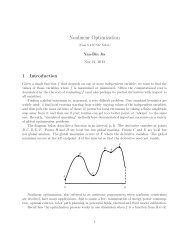 Nonlinear Optimization - Iowa State University