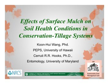 Effects of Surface Mulch on Soil Health Conditions in ... - ctahr