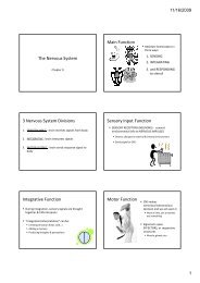 PPT Notes - Neuron Structure & Function