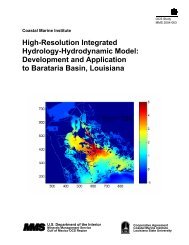 High-Resolution Integrated Hydrology-Hydrodynamic ... - Data Center