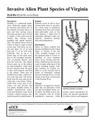 Invasive Alien Plant Species of Virginia Hydrilla (Hydrilla verticillata)