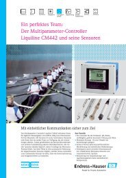 Ein perfektes Team: Der Multiparameter ... - Endress+Hauser