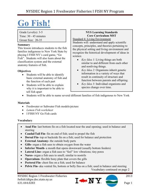 Fishing Basics - NYSDEC