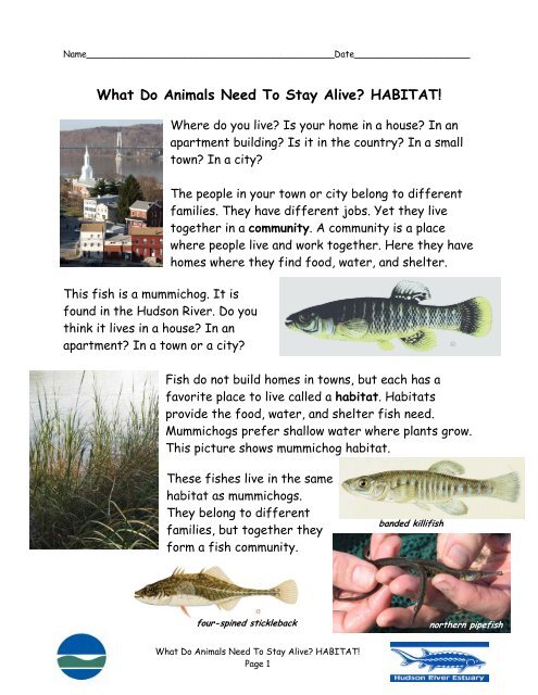 What Do Animals Need To Stay Alive? HABITAT! (PDF)