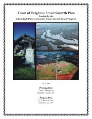Town of Brighton Smart Growth Plan - New York State Department of ...
