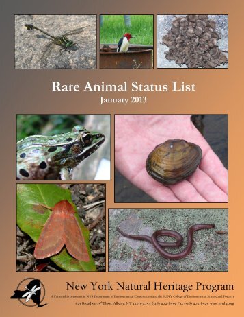 Rare Animal Status List - New York State Department of ...