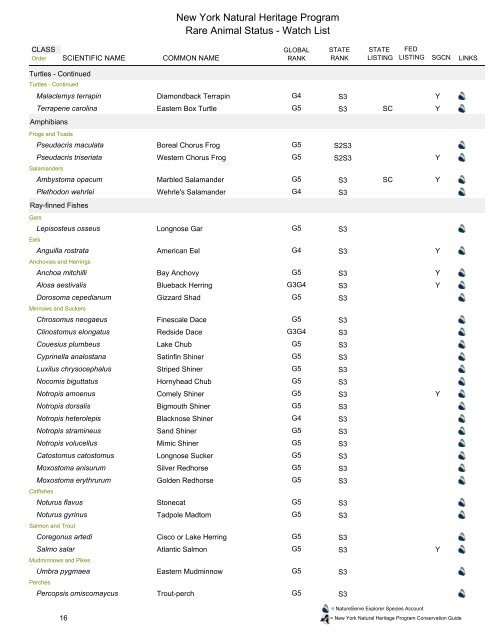 Rare Animal Status List - New York State Department of ...