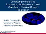 Correlating Primary Cilia Expression, Proliferation and ... - Definiens