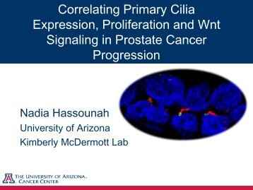 Correlating Primary Cilia Expression, Proliferation and ... - Definiens