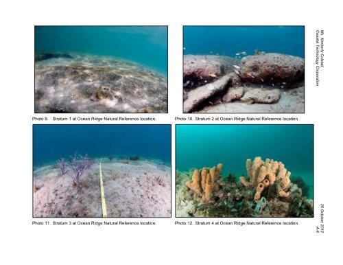 Function and Mitigation of Nearshore Hard Bottom in East Florida