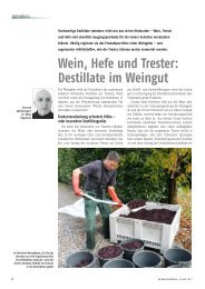 Wein, Hefe und Trester: Destillate im Weingut - Der Deutsche Weinbau
