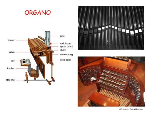 FISICA MUSICALE - Dipartimento di Fisica