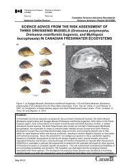 Science advice from the risk assessment of three dreissenid mussels