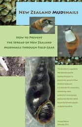 How to prevent the spread of New Zealand mudsnails through field ...