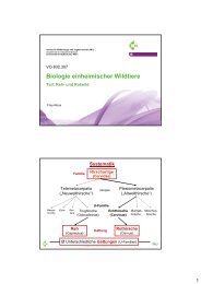 Biologie einheimischer Wildtiere - Department für Integrative ...