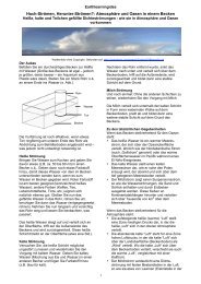 Hoch-Strömen, Herunter-Strömen?: Atmosphäre und Ozean in einem Becken