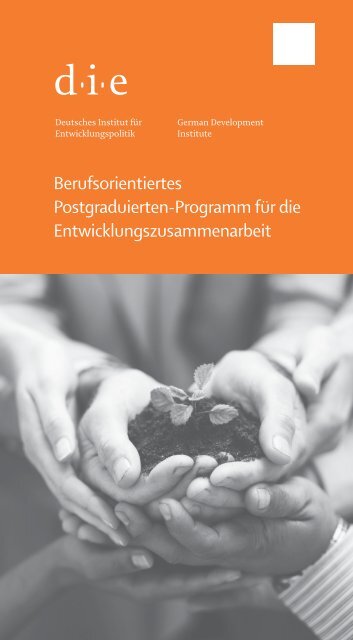 Flyer zum Postgraduierten-Programm - Deutsches Institut für ...