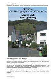 Private Fördermaßnahmen (PDF) - Stadt Dillenburg